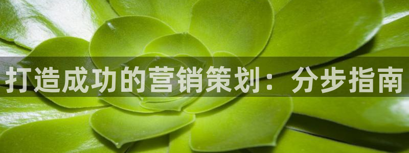 必赢官网下载安装