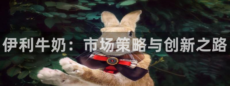 必赢手机app下载最新版本安装
