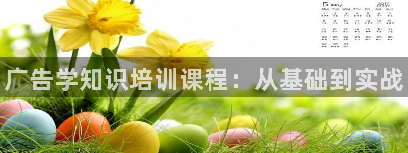 必赢线上网址查询