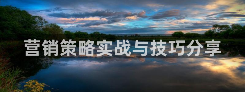 必赢手机app下载安装最新版