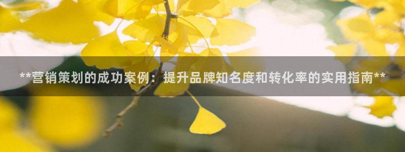 必赢链接