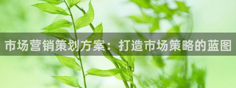 必赢手机app下载 最新版安装