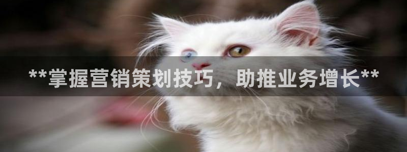 必赢565net官网