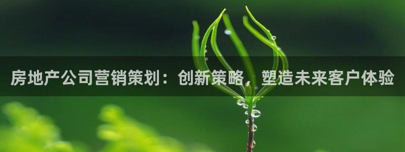 必赢官网app下载苹果版
