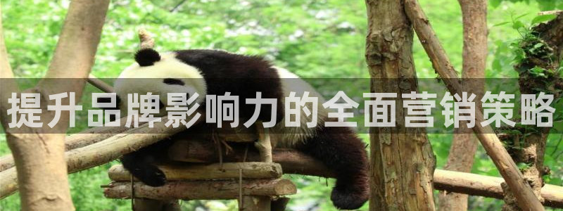 必赢亚赢网站官网下载安卓