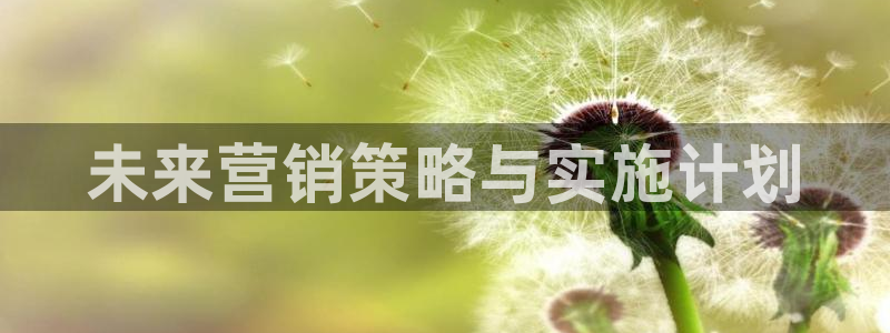 必赢官网网站入口网址