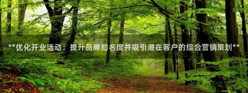 必赢网怎么打不开了呀
