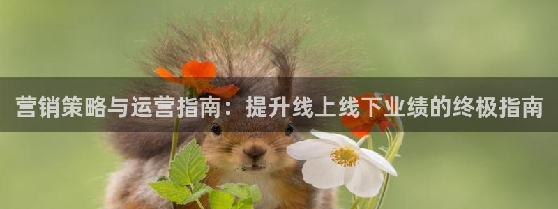 必赢亚赢网站官网下载手机版