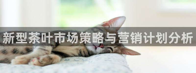 必赢网址