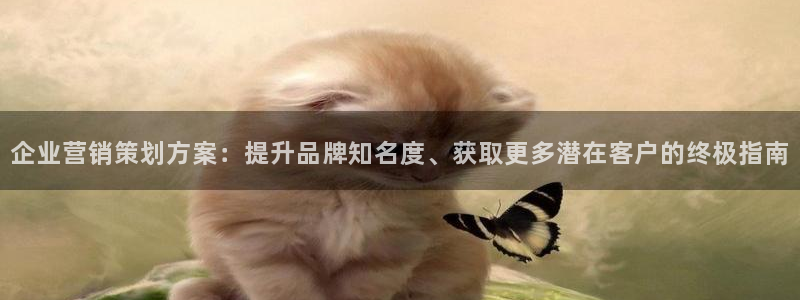 必赢平台网