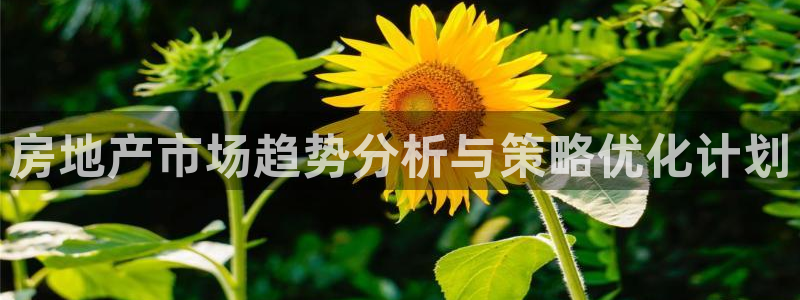 必赢亚赢网站官网下载手机版安装