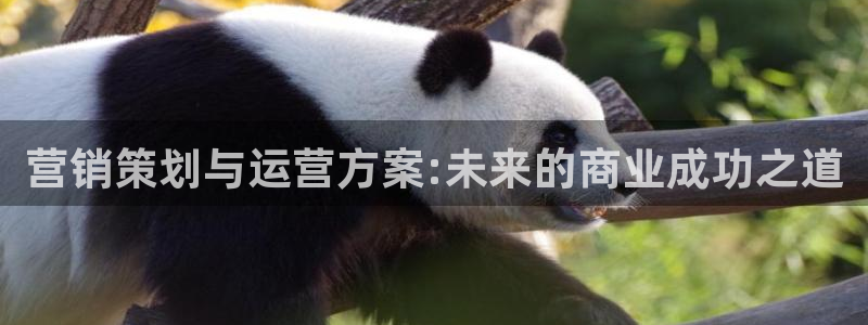 必赢官网app下载苹果版