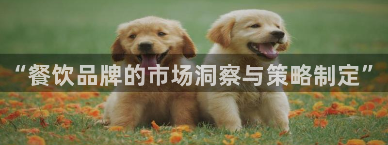 必赢app能挣钱吗是真的吗
