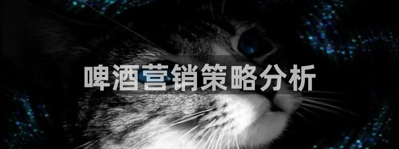 必赢网怎么打不开了