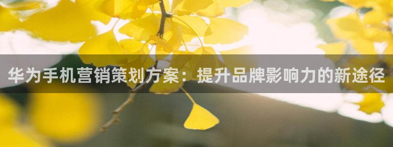 必赢72886后面字母是多少