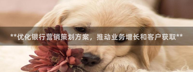 必赢手机app下载