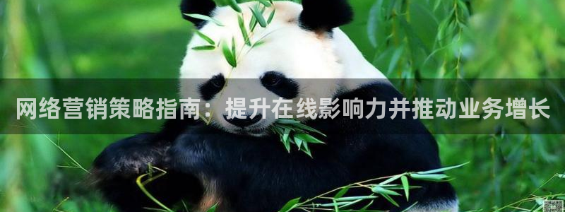 必赢516net怎么进