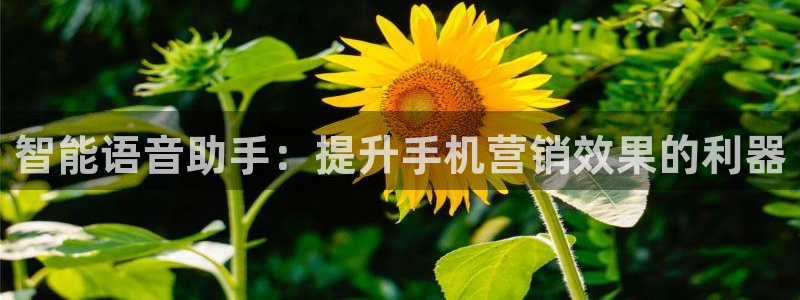 必赢官网入口下载app