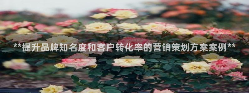必赢国际437a