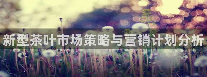 必赢官网app下载安装最新版