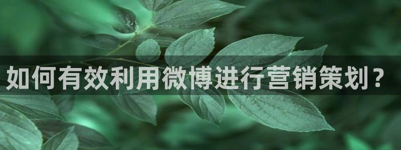 必赢官网app下载