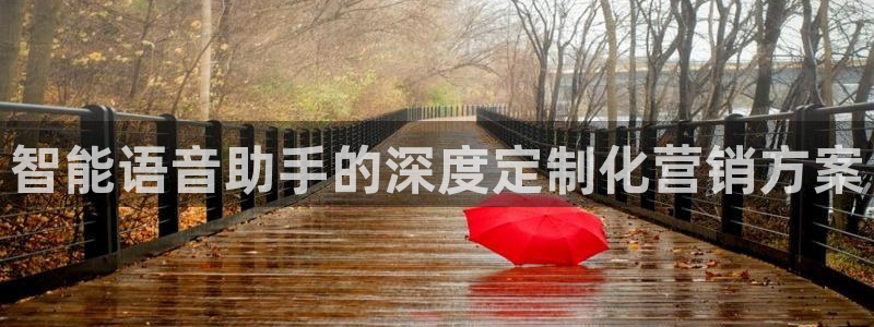 必赢国际437官网版