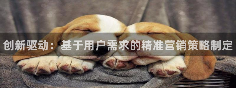 必赢科技