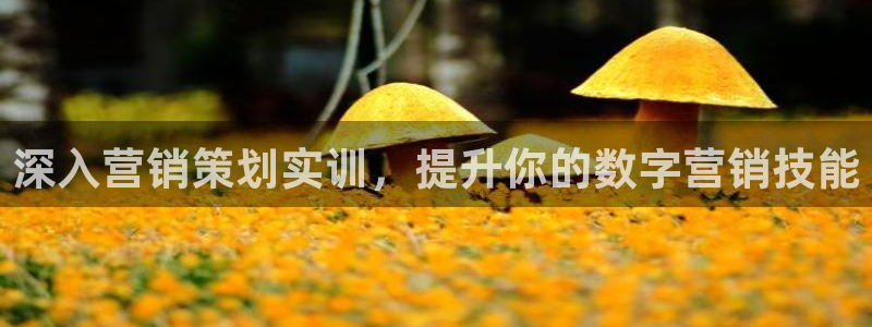 必赢下载ipad
