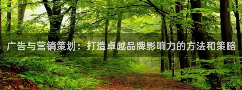必赢科技北京有限公司