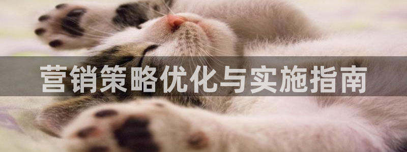 必赢国际网站合法吗