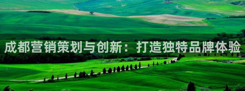 必赢平台网