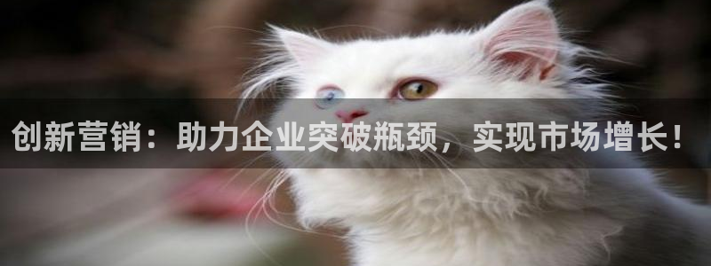 必赢下载安卓版下载