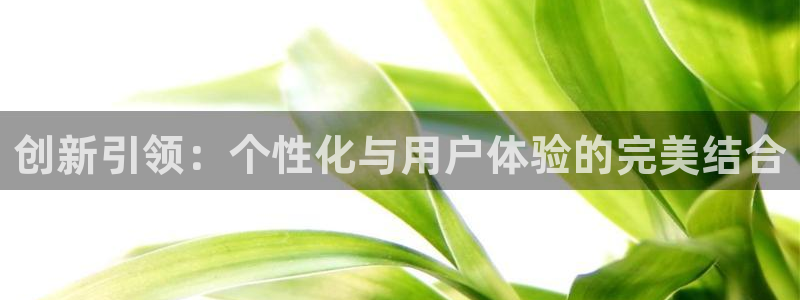 必赢这个软件怎么样啊