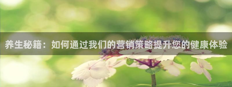 必赢国际游戏技巧