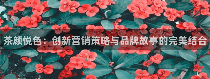必赢手机app下载 最新版苹果