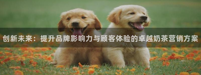 必赢国际a600典ccapp