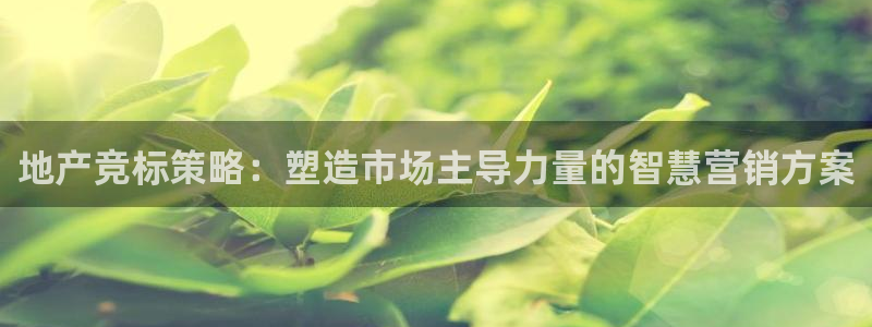 必赢棋盘官网版