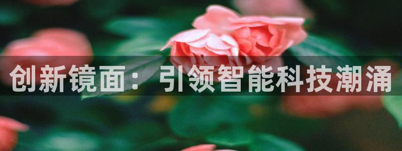 必赢手机app下载抢红包
