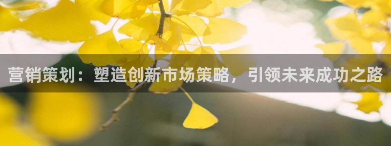 必赢官网网站