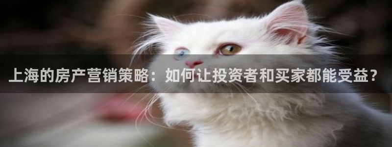 必赢72882网址