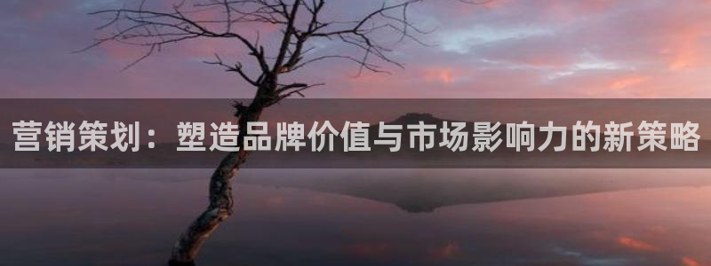 必赢集团winex：营销策划：