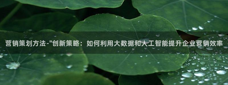 必赢最新网页：营销策划方法-\