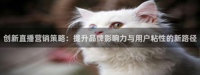 必赢365官方网登录