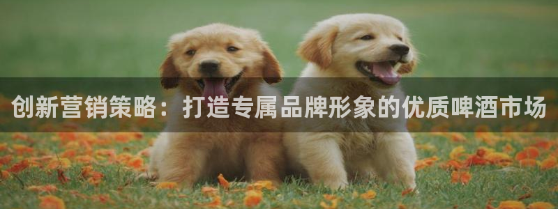 9965必赢游戏app大全