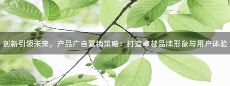 必赢手机app下载安装官网