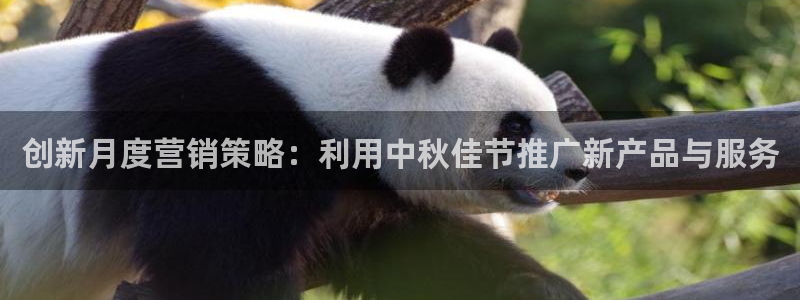 必赢app是干什么的