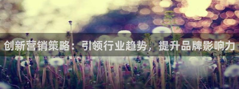 必赢app客户端下载：创新营销