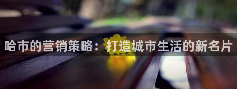 必赢平台怎么样：哈市的营销策略