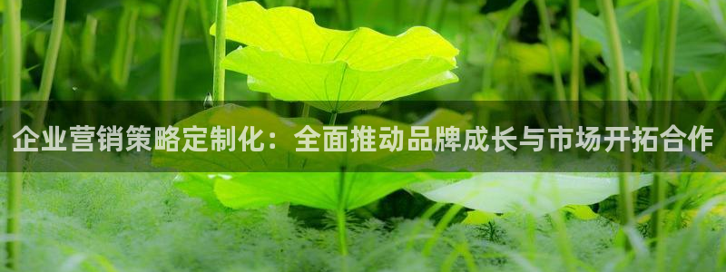 必赢网站是哪一个平台