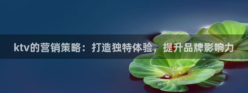 必赢官网网站首页